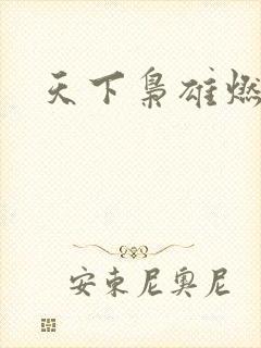 天下枭雄燃文