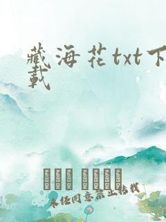 藏海花txt下载