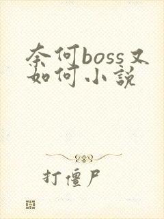 奈何boss又如何小说