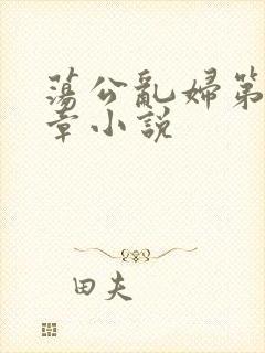 荡公乱妇第51章小说