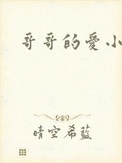 哥哥的爱小说