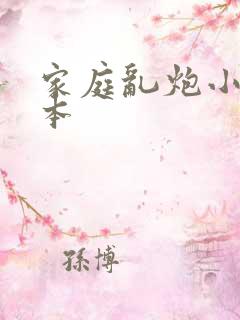 家庭乱炮小说全本