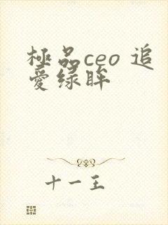 极品ceo 追爱绿眸