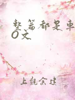 整篇都是车的PO文