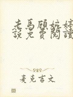 老马顾婉婷的小说免费阅读