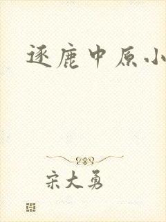 逐鹿中原小说