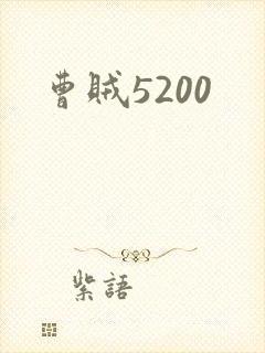 曹贼5200