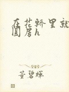 在花轿里就开始圆房h