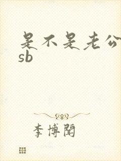 是不是老公的小sb