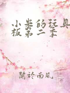 小米的玩具店老板第二季