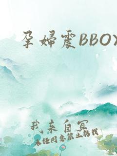 孕妇震BBOX