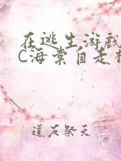 在逃生游戏里挨C海棠自走棋