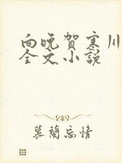 向晚贺寒川免费全文小说