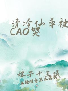 清冷仙尊被强制CAO哭