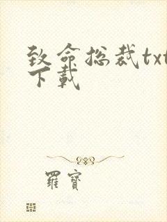致命总裁txt下载