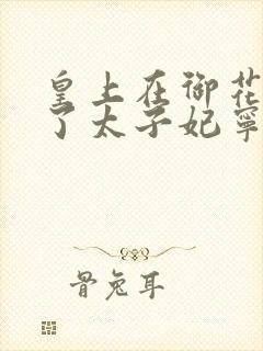 皇上在御花园C了太子妃宁儿