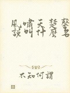 风啸天楚馨月小说叫什么名字