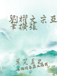 刘耀文宋亚轩用笔扩张