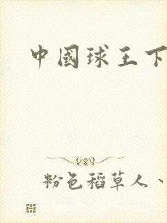 中国球王下载