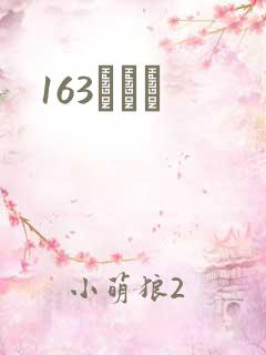163ͬѧ¼