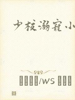 少校溺宠小小妻