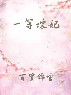 一等坏妃