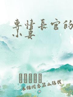 专情长官的天价小妻