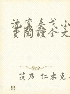 沈鸾秦戈小说免费阅读全文