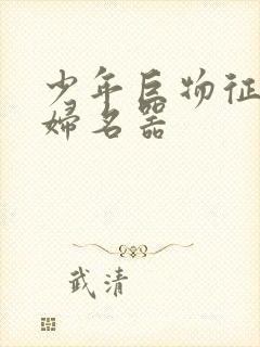 少年巨物征服美妇名器