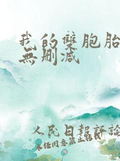 我的双胞胎老婆无删减