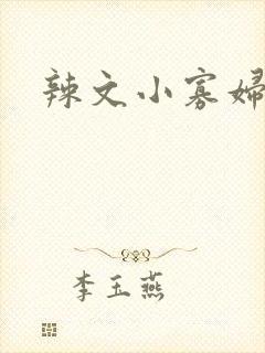 辣文小寡妇