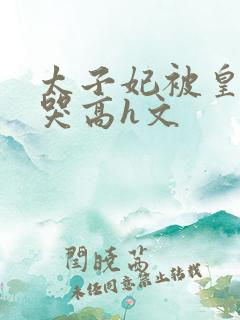 太子妃被皇上c哭高h文