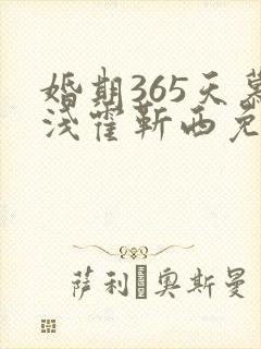 婚期365天慕浅霍靳西免费阅读