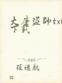 大唐盗帅txt下载