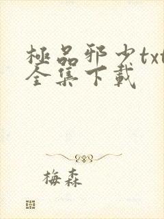 极品邪少txt全集下载