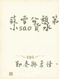 苏雪公憩第一章小sao货水