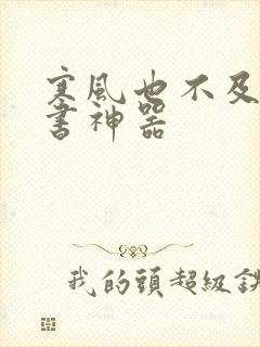 寒风也不及她追书神器