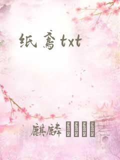 纸鸢txt