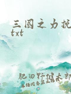 三国之力挽狂澜txt