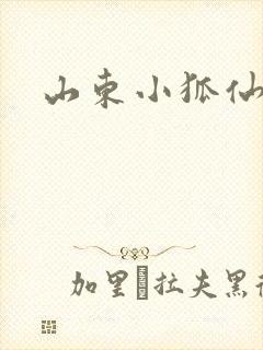 山东小狐仙