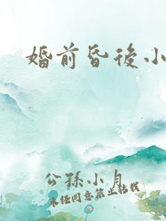 婚前昏后小说