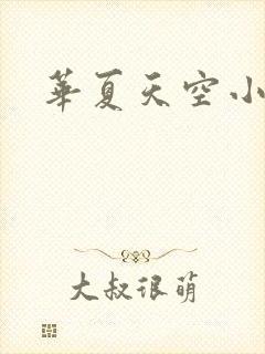 华夏天空小说网