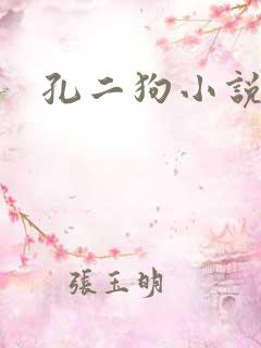 孔二狗小说