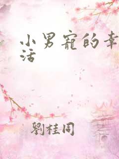 小男宠的幸福生活
