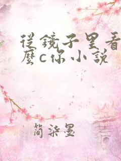 从镜子里看我怎么c你小说