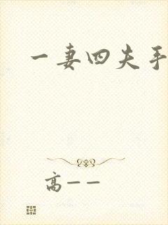 一妻四夫手记