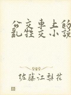 公交车上的疯狂乱牲交小说