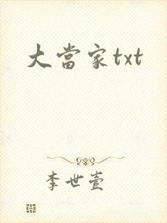 大当家txt