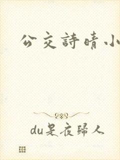 公交诗晴小说