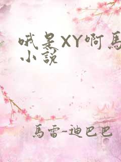 哦是XY啊马仔小说